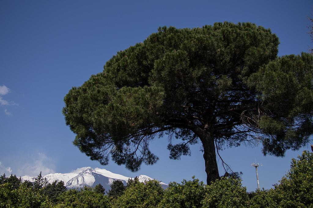 Il Melograno Villa San Leonardello Bagian luar foto