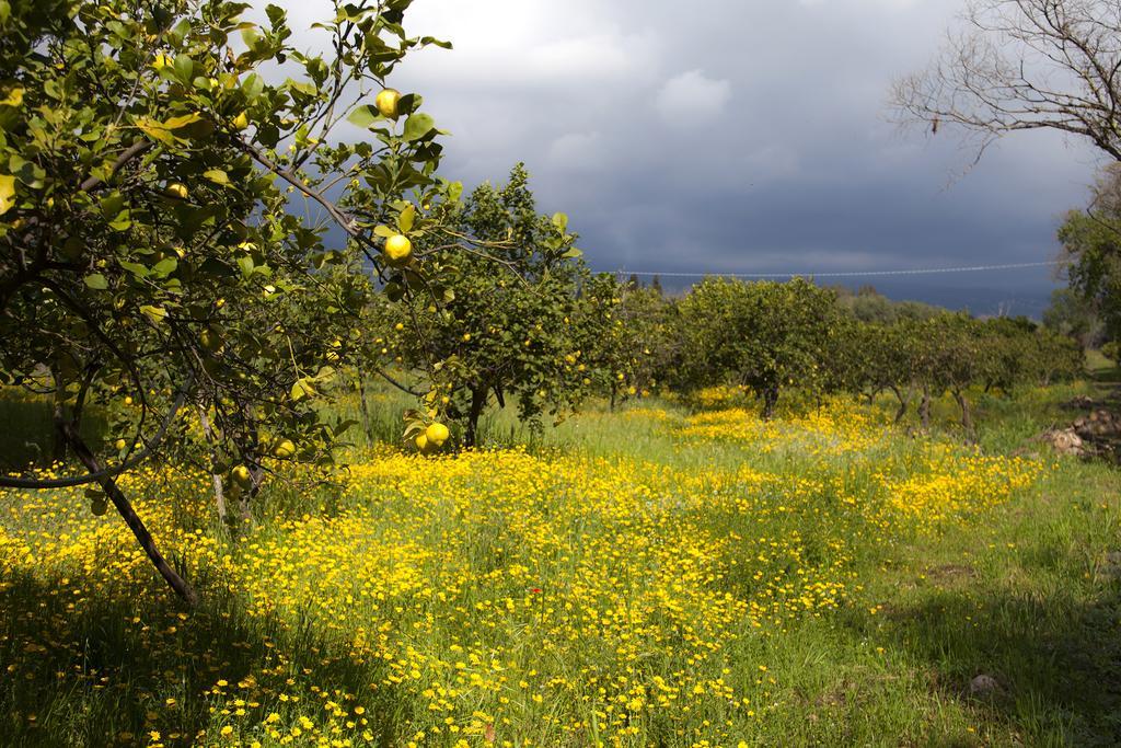 Il Melograno Villa San Leonardello Bagian luar foto